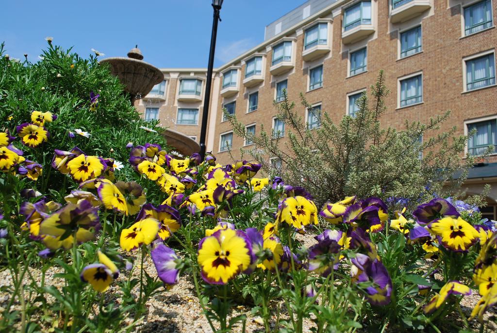 Royal Oak Hotel Spa & Gardens Ócu Exteriér fotografie